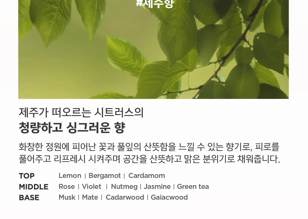 [NEW] 글래드 포레스트 디퓨저 리필 기획 150+150ml (제주/서울향) 상세페이지 6